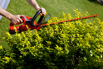 Man using a hedge trimmer during summer home maintenance