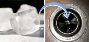 Deodorize Your Garbage Disposal