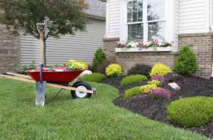 Plumbing services for home improvement and garden maintenance