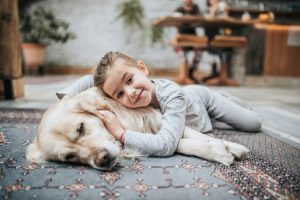 Improve home pet care tips for pet owners