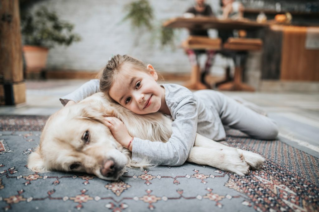 How to Improve Home Pet Care