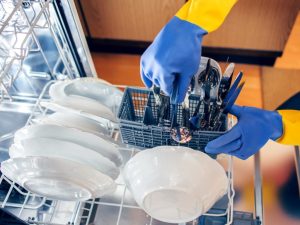 Plumbing expert helping maintain home appliances.