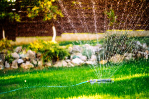 Best time to water lawn for healthy grass | Norhio Plumbing