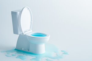 How to test for a toilet leak step-by-step guide